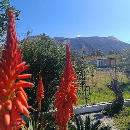 Garden & Sea Holiday home *
