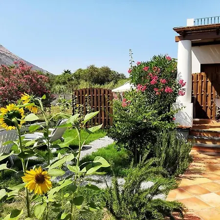 Garden & Sea