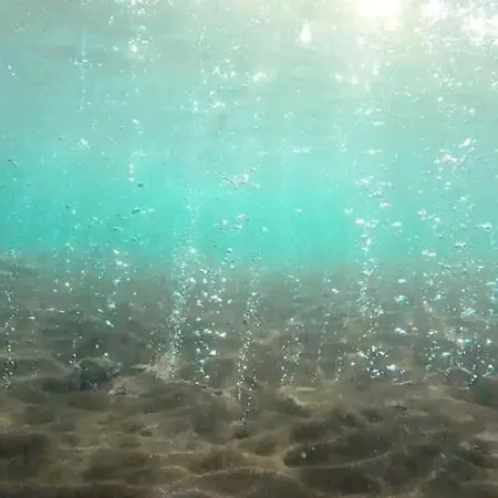Garden & Sea *